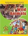 Children's: Wild Animals 3 A Hungry Visitor  polish books in canada