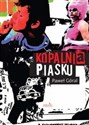 Kopalnia piasku 
