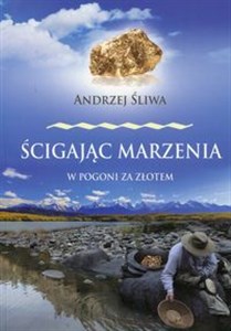 Ścigając marzenia W pogoni za złotem bookstore