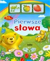 Pierwsze słowa Mały uczeń polish books in canada