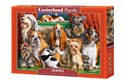 Puzzle 3000 Dog Club - 