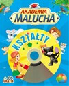 Akademia malucha Kształty z płytą CD bookstore