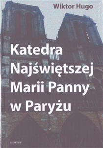 Katedra Najświętszej Marii Panny w Paryżu TW  buy polish books in Usa