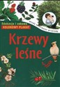Krzewy leśne Edukacja i zabawa books in polish