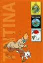 TinTin Afera Lakmusa Tom pomarańczowy  to buy in USA