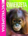 Mini Encyklopedia Zwierzęta books in polish