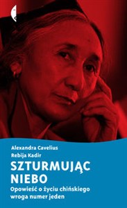 Szturmując niebo Opowieść o życiu chińskiego wroga numer jeden books in polish