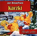 Kaczki in polish