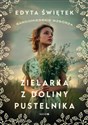Zielarka z Doliny Pustelnika Wielkie Litery - Polish Bookstore USA