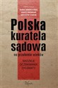 Polska kuratela sądowa na przełomie wieków nadzieje, oczekiwania, dylematy Polish Books Canada