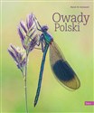 Owady Polski Tom 1 Bookshop