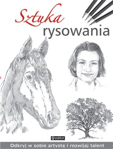 Sztuka rysowania chicago polish bookstore