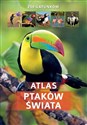 Atlas ptaków świata 250 gatunków/SBM 