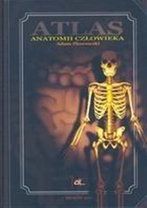 Atlas anatomii człowieka polish books in canada