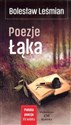 Poezje Łąka - Bolesław Leśmian