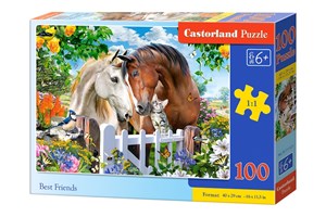 Puzzle 100 Best Friends polish books in canada