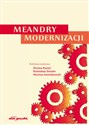 Meandry modernizacji polish usa