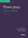 Prawo pracy Zarys wykładu polish usa