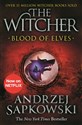 Blood of Elves: Witcher 1 books in polish