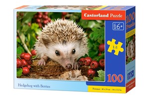 Puzzle 100 Hedgehog with Berries buy polish books in Usa