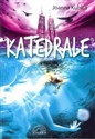 Katedrale polish usa