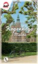 Kopenhaga i Malmö  