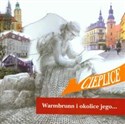 Warmbrunn i okolice jego Przewodnik po Cieplicach Śląskich Zdroju i Karkonoszach z 1850 roku z oryginalnym tekstem Rozalii Saulson buy polish books in Usa