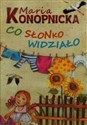 Co słonko widziało  