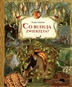 Co budują zwierzęta? wyd. 2025  buy polish books in Usa
