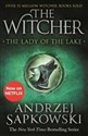 The Lady of the Lake: Witcher 5 - Andrzej Sapkowski  