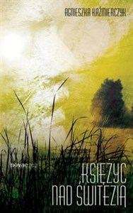 Księżyc nad Świtezią - Polish Bookstore USA