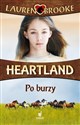 Heartland 2 Po burzy 