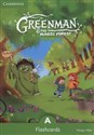 Greenman and the Magic Forest A Flashcards chicago polish bookstore