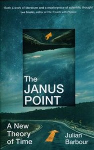 The Janus Point A New Theory of Time pl online bookstore