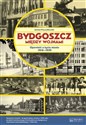 Bydgoszcz między wojnami Opowieść o życiu miasta 1918-1939 - Michał Pszczółkowski