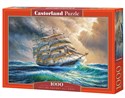 Puzzle Sailing Against All Odds 1000 C-104529 to buy in Canada