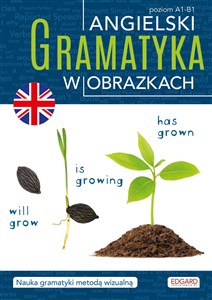 Angielski Gramatyka w obrazkach buy polish books in Usa