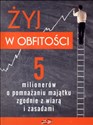 Żyj w obfitości. 5 milionerów o pomnażaniu majątku zgodnie z wiarą i zasadami + CD Polish Books Canada