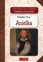 Anielka chicago polish bookstore