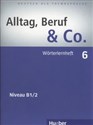 Alltag Beruf & Co. 6 Worterlernheft polish usa