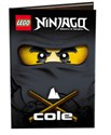 Lego Ninjago Cole LNR3  