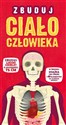Zbuduj ciało człowieka to buy in USA