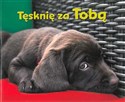 Tęsknię za tobą perełki polish books in canada