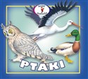 Ptaki in polish