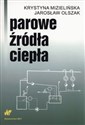 Parowe źródła ciepła - Krystyna Mizielińska, Jarosław Olszak