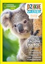 Dzikie Zwierzęta Tom 27 Koala -  chicago polish bookstore