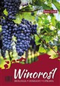 Winorośl. Biologia-odmiany-uprawa. - Polish Bookstore USA