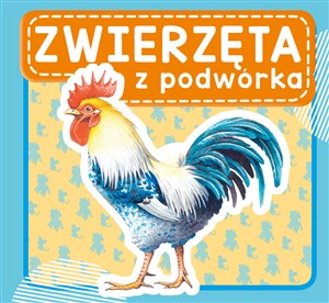 Zwierzęta z podwórka 