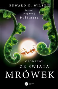 Opowieści ze świata mrówek  Polish bookstore