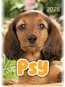 Kalendarz 2026 wieloplanszowy B4 Psy to buy in USA
